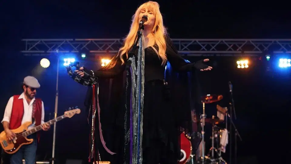 Ultimate Fleetwood Mac Stevie Nicks Tribute Concert