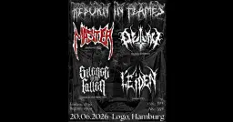 REBORN IN FLAMES FEST | LOGO Hamburg
