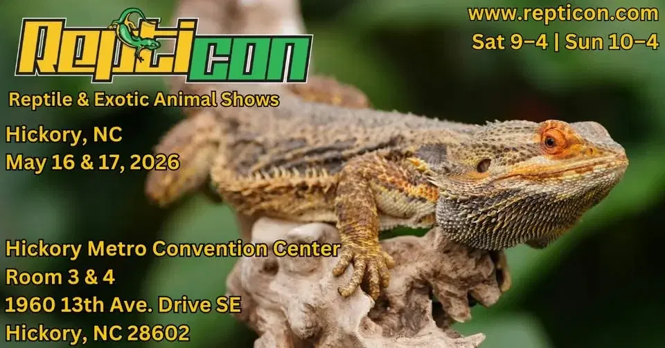 Repticon Hickory