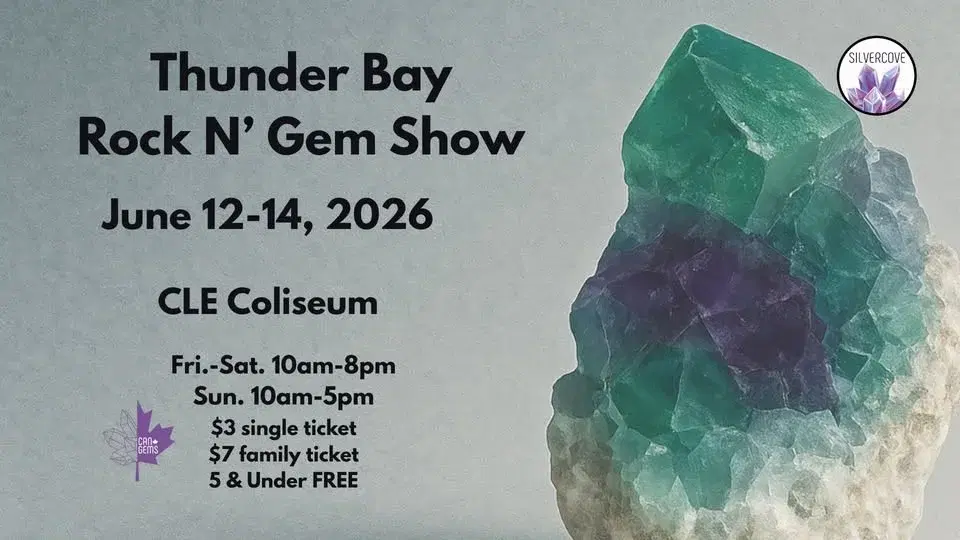 Thunder Bay Rock N' Gem Show