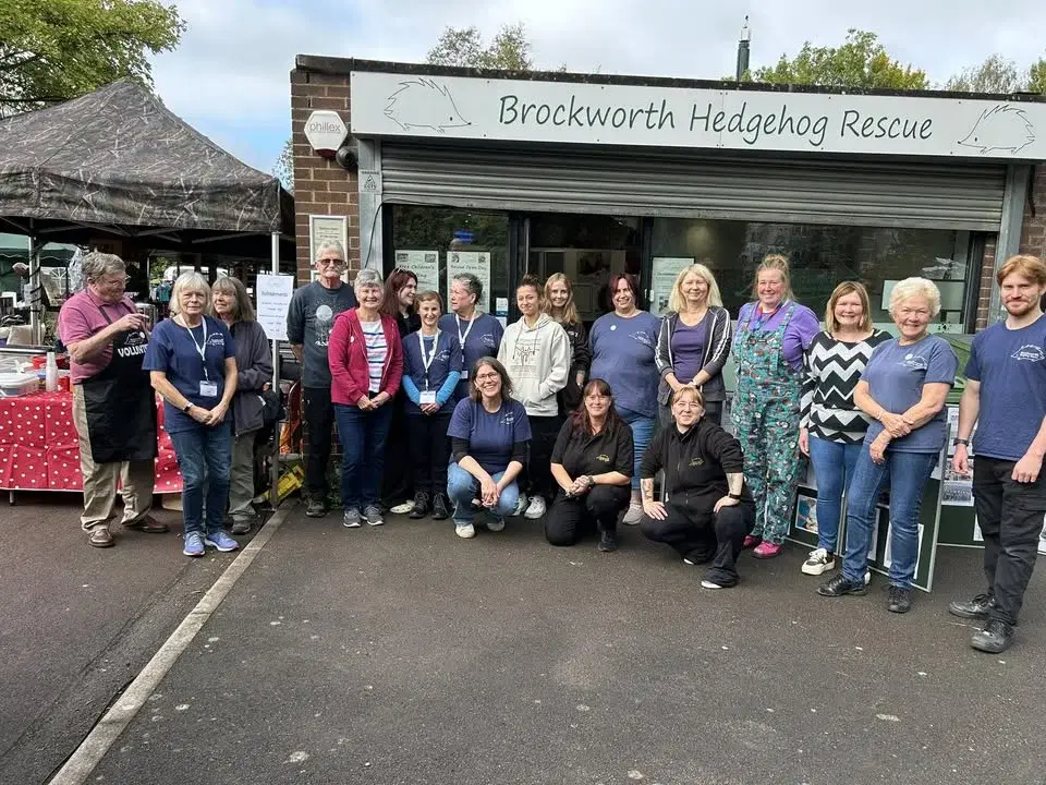 Brockworth Hedgehog Rescue Open Day - September