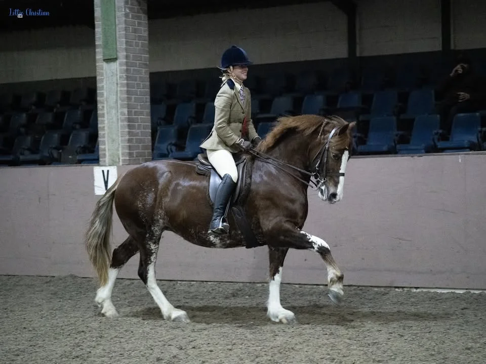 Bold Heath Summer Show - Evening Performance - 9th August 2026