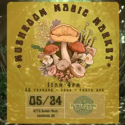The Mushroom Magic Market