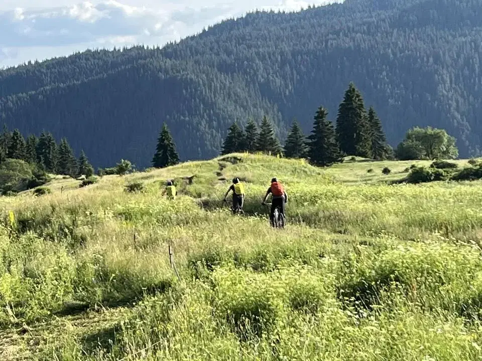 Родопска Идилия