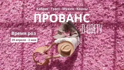 Прованс в цвету: путешествие для вдохновения