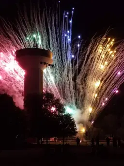 Festival in the Park (One Day Only!)