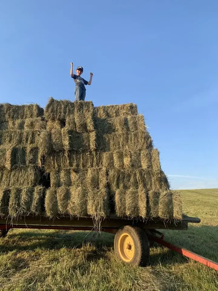 Trailer Loading Clinic (horses not hay haha)
