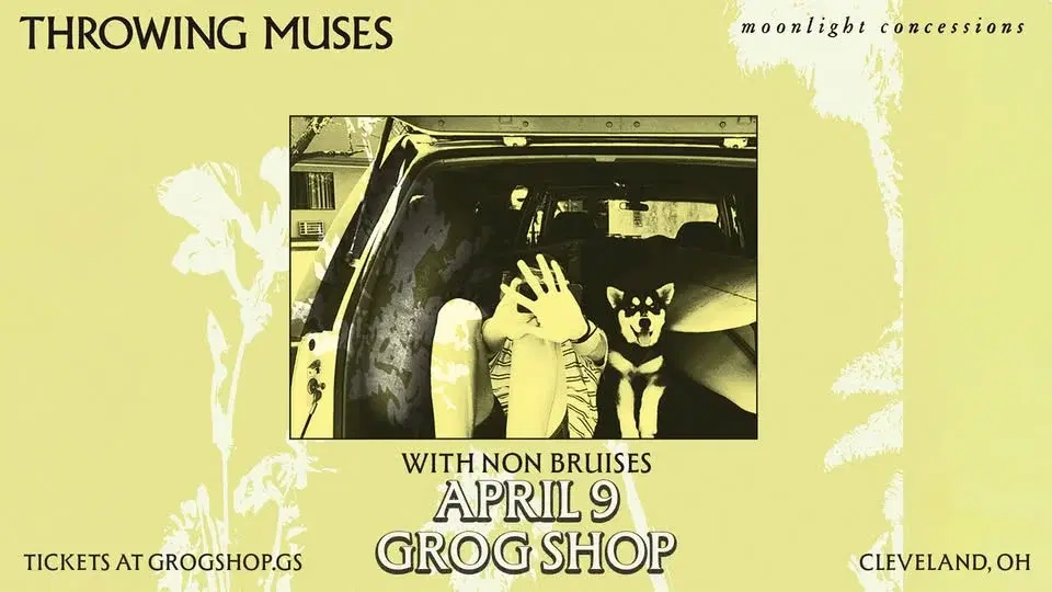 Throwing Muses, Non Bruises