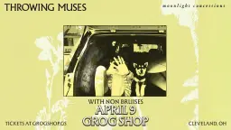 Throwing Muses, Non Bruises