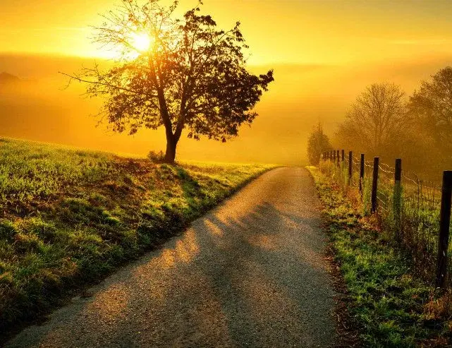 Ballymena Sunrise Walk