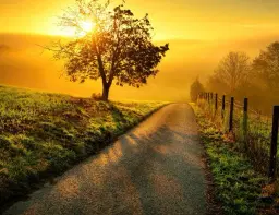 Ballymena Sunrise Walk