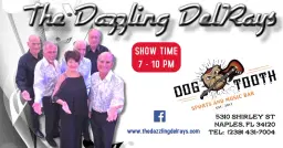 The Dazzling DelRays at Dogtooth 4/3/26