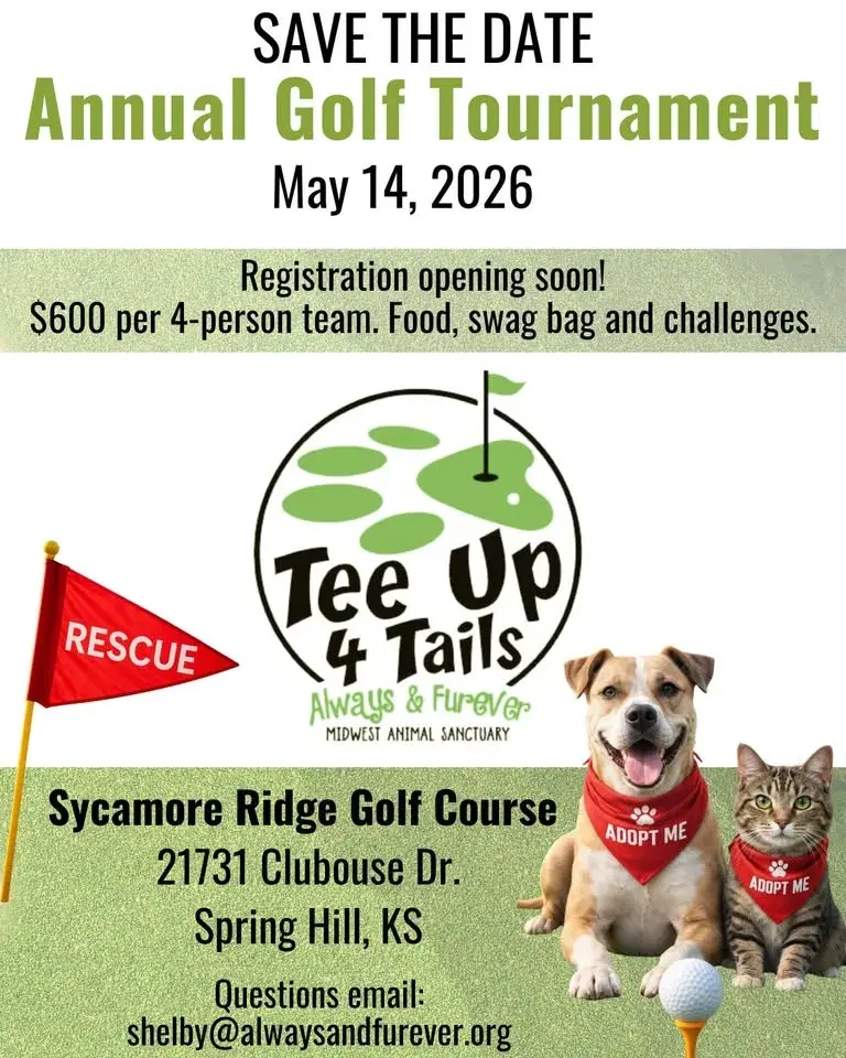 Tee up for Tails Golf Tournament