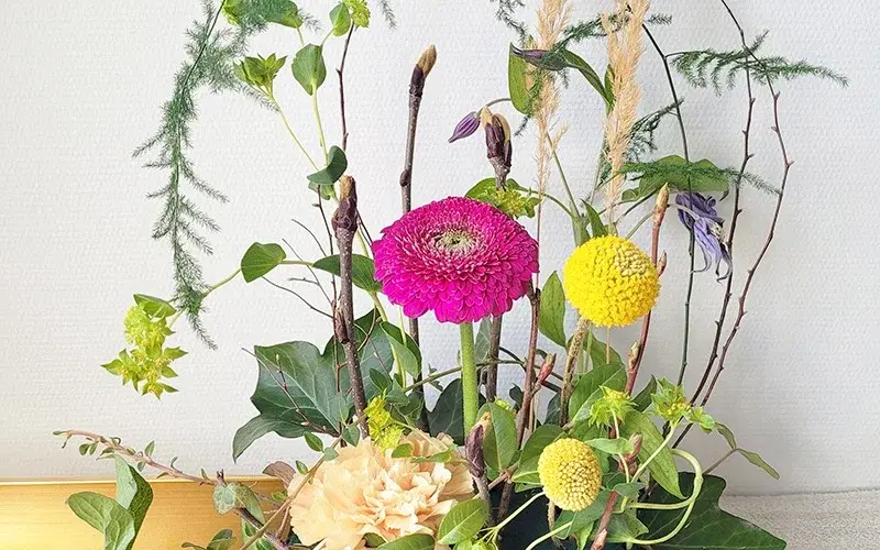 Creative in bloom på Hansa