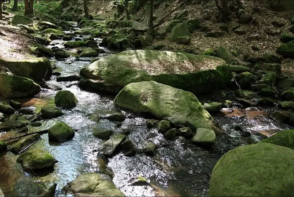 Údolím Šembery "Po čertových kamenech"