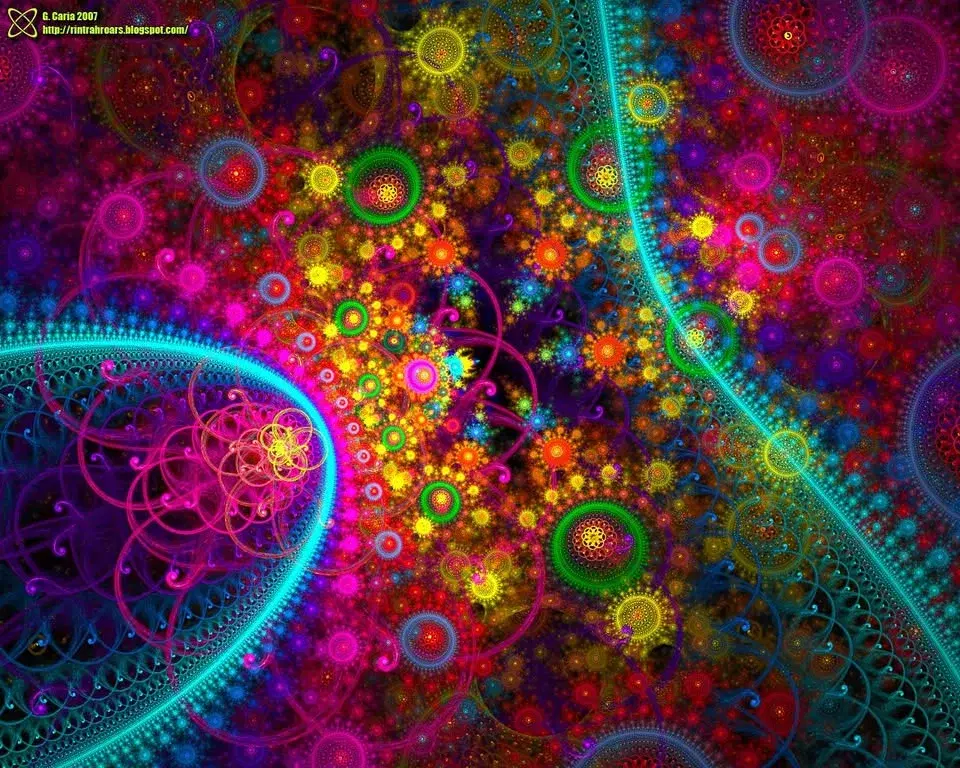 Cranberry Ballroom - Flower Power / 1970s