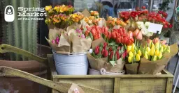 Spring Market at PGA Frisco