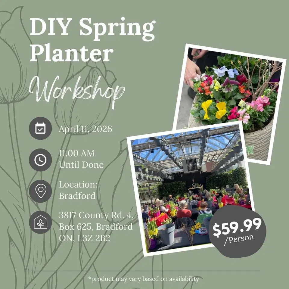 Ticket: DIY Spring Planter Workshop (Bradford Location)