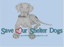 Quarter Auction for Save Our Shelter Dogs Rescue