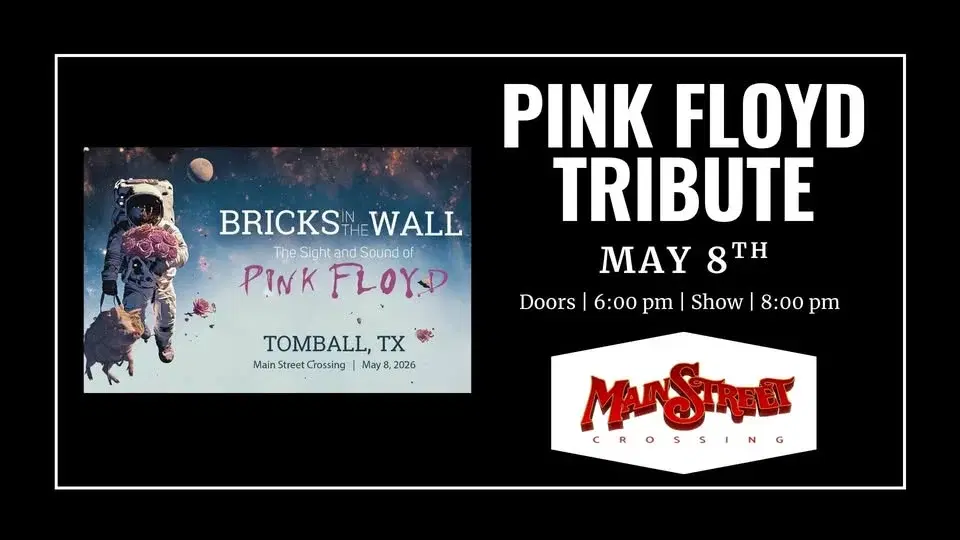 Pink Floyd Tribute called Bricks in The Wall | LIVE at Main Street Crossing