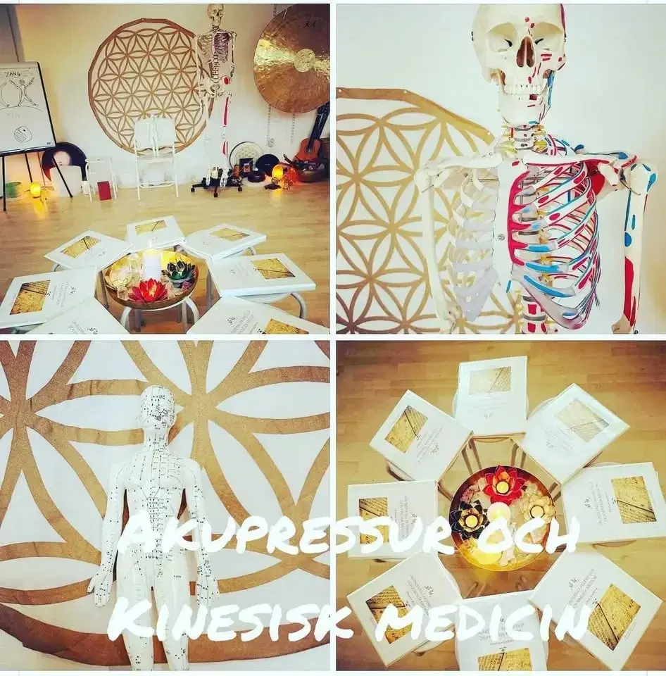 Grunderna i Akupressur och Kinesisk Medicin