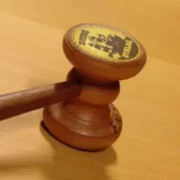 Årsmöte i Djurö Byalag