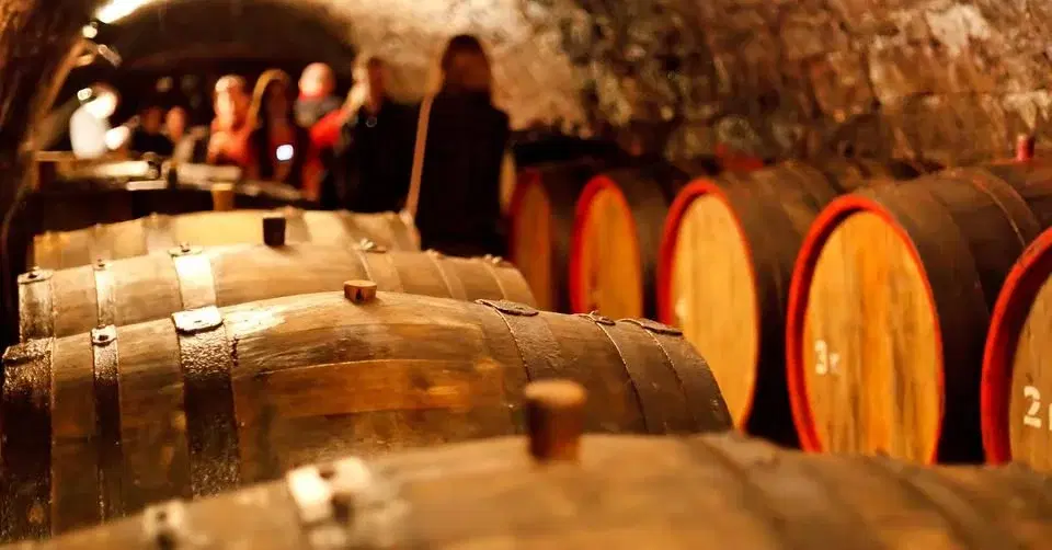 Velikonoční otevřené sklepy Valtice 2026 - oficiální událost