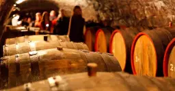 Velikonoční otevřené sklepy Valtice 2026 - oficiální událost