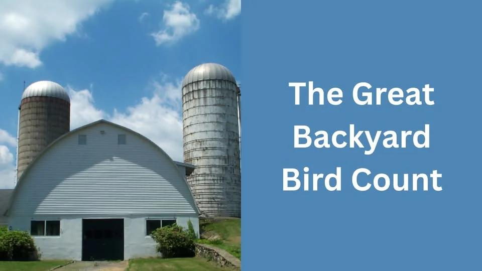The Great Backyard Bird Count