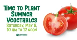 Time to Plant Summer Vegetables