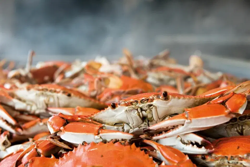 2026 Maryland Seafood Festival