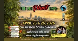 The BIG Plant Expo- Enchanted Forest Edition