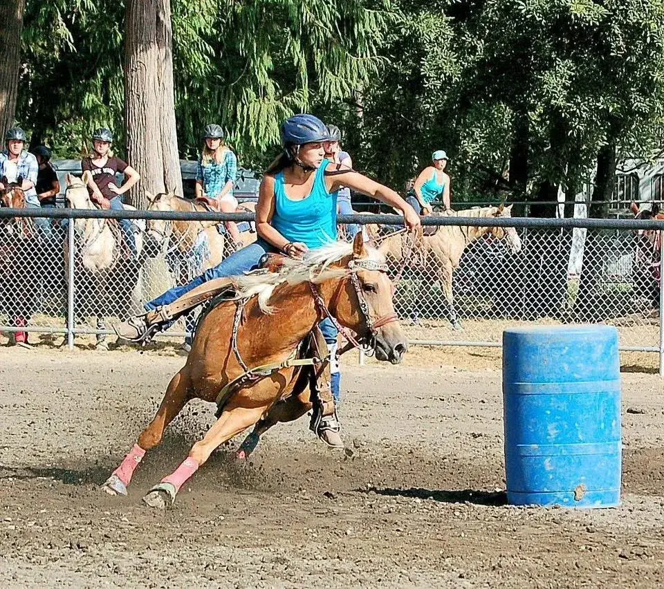 SVH Western Gaming @ the Stanwood-Camano Fair