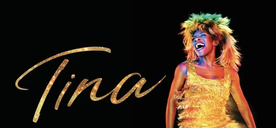 Tina Turner Tribute Night