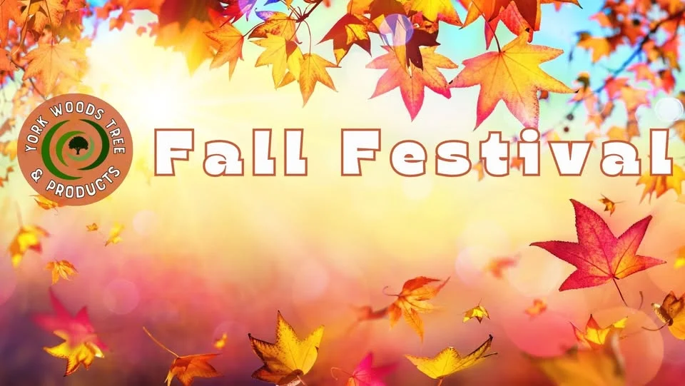 6th Annual Fall Festival