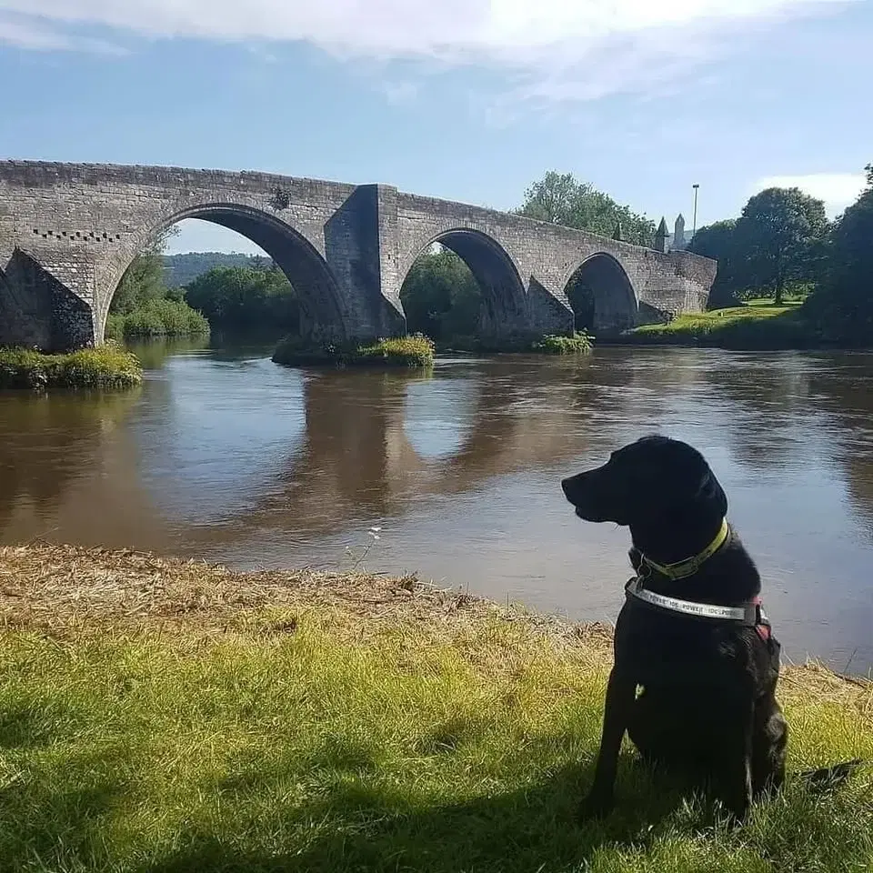 Stirling Bridge Commemoration