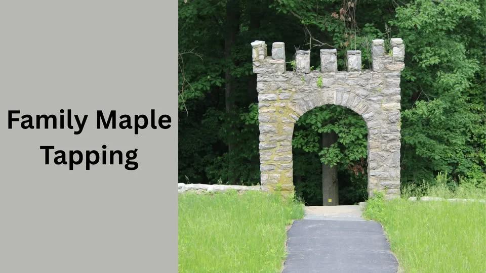 Family Maple Tapping
