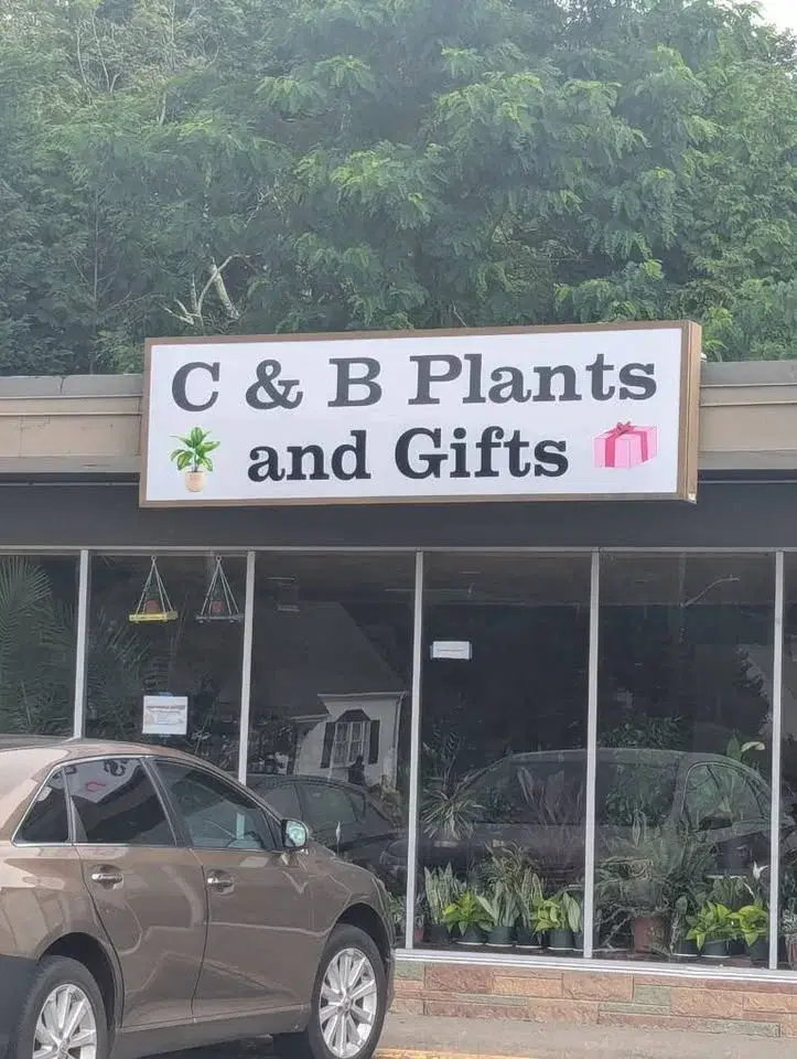 BOOK CLUB: Sarah Blanchard Discussion: "All the Colors of the Darkness" by Chris Whitaker