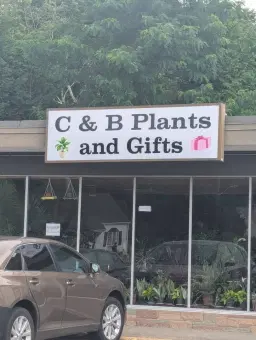 BOOK CLUB: Sarah Blanchard Discussion: "All the Colors of the Darkness" by Chris Whitaker