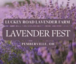Lavender Fest- Luckey Road Lavender Farm