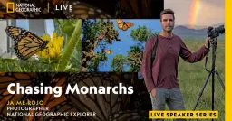 National Geographic Live — Chasing Monarchs