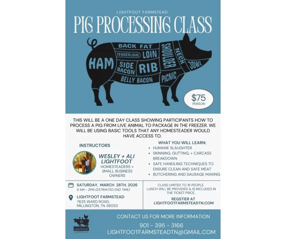 Pig Processing Class - TICKET REQUIRED