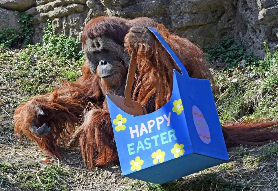 Easter Celebration presented by Mike's Car Wash