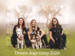 Dream dogs camp 2026!