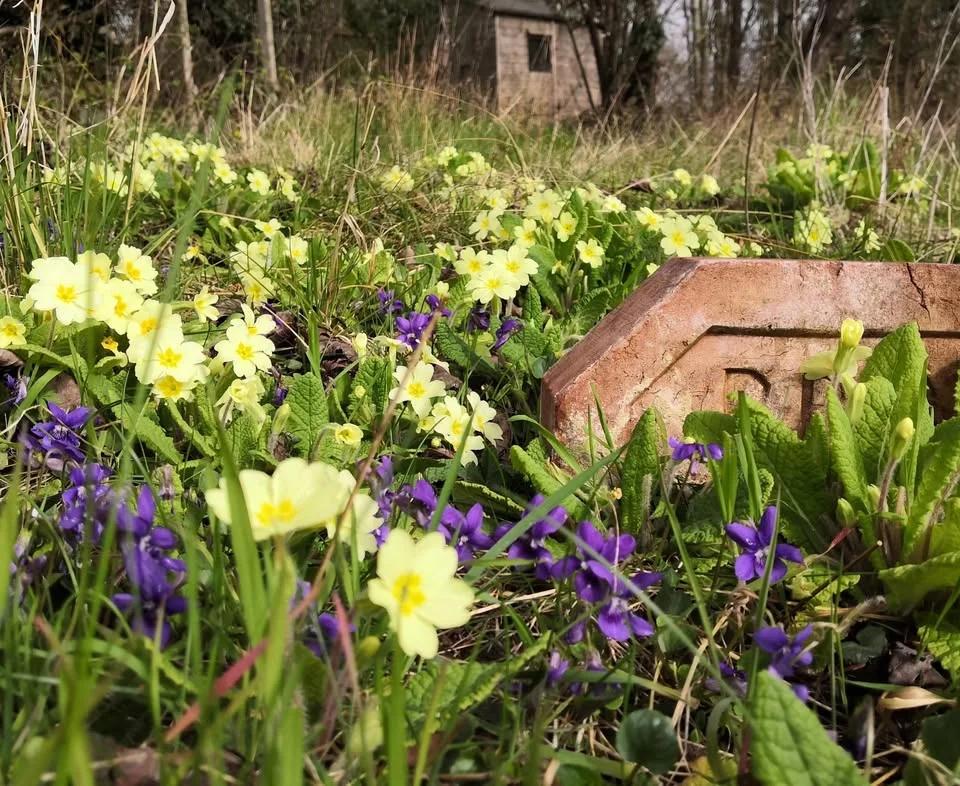 Mother's Day @ The Brickworks Museum