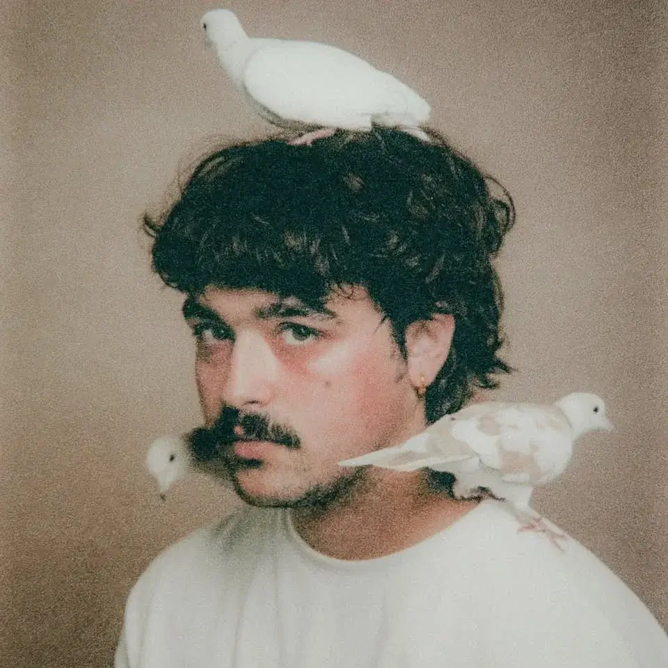 Velours Velours. Le Zaricot.