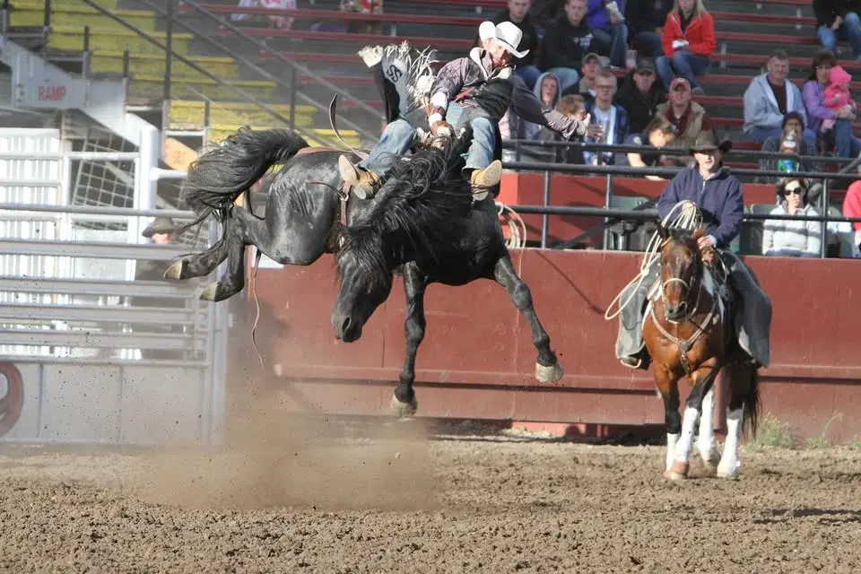 Saturday Performance- Advantage Dirt Bares and Broncs