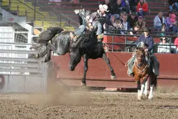 Saturday Performance- Advantage Dirt Bares and Broncs