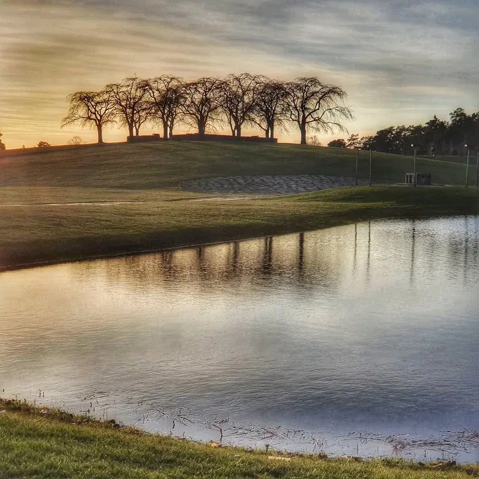 Vandring i Skogskyrkogården – världsarv, arkitektur och stillhet