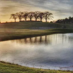 Vandring i Skogskyrkogården – världsarv, arkitektur och stillhet